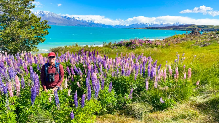 9. Guests in the lupins Lake Tekapo