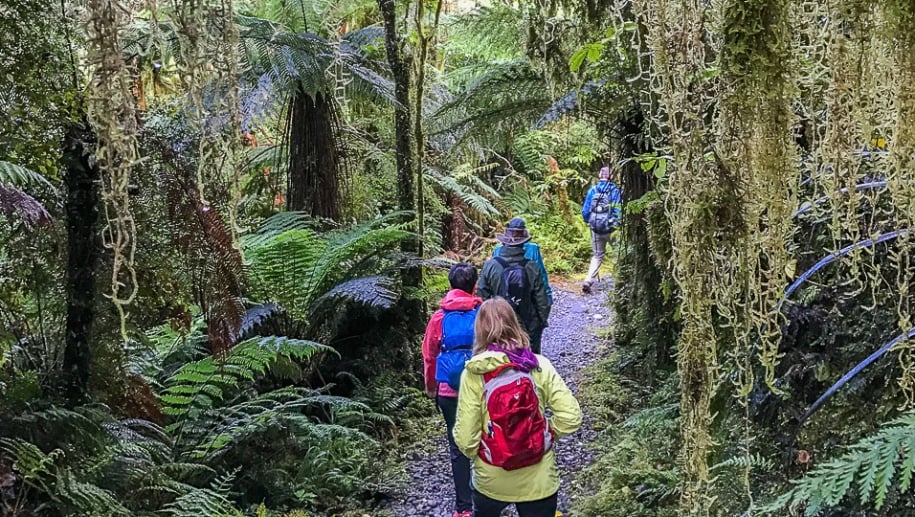 Hiking the Kepler track on adventure tours New Zealand
