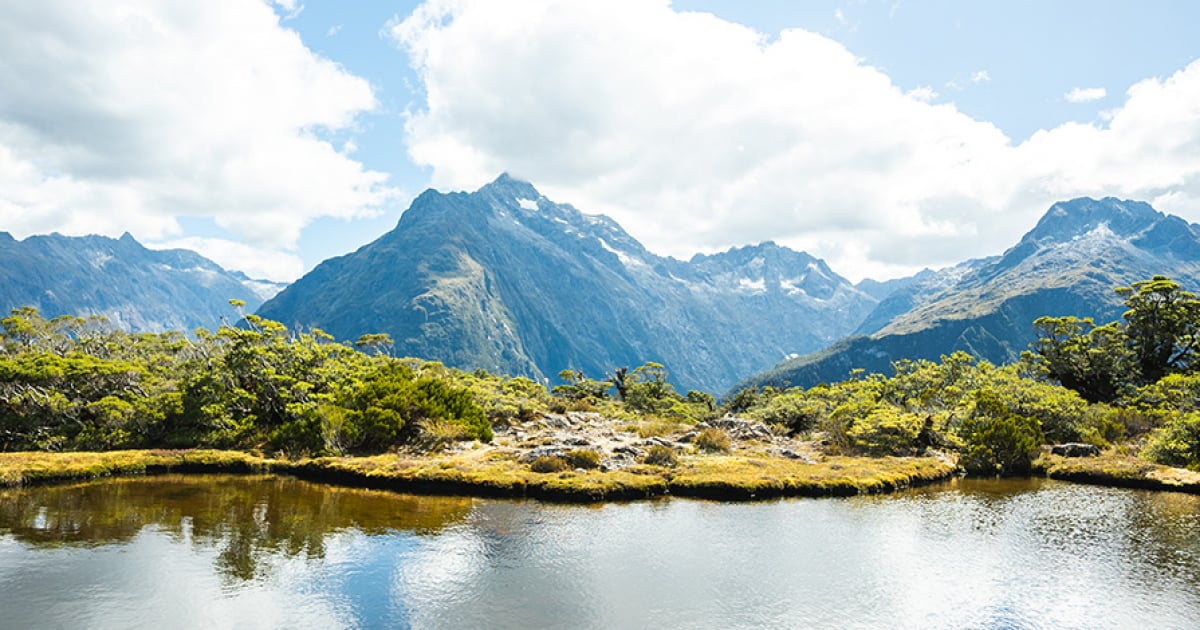 Routeburn track tour sale