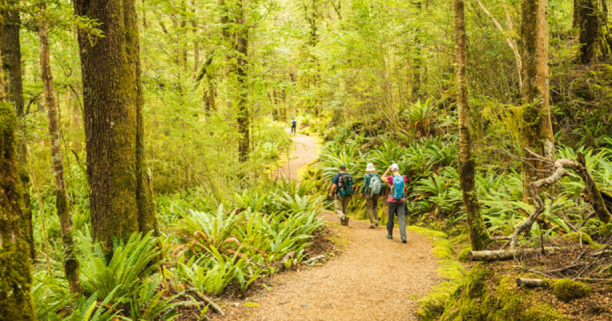 Kepler track outlet guided walk