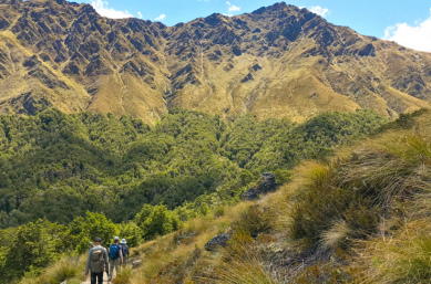 1. Group walking the track Ben Lomond