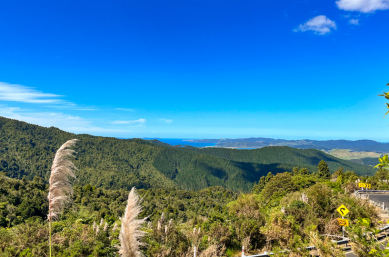 2. Sweet North road trip views copy