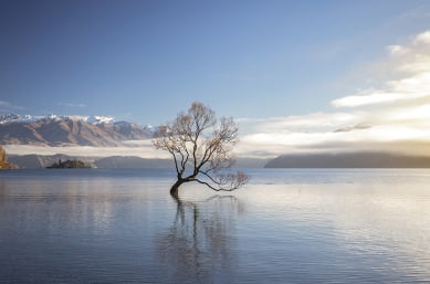 Kiwi Classic: New Zealand Hiking Tour - New Zealand Trails