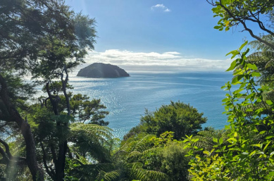 Abel Tasman National Park HIking Views