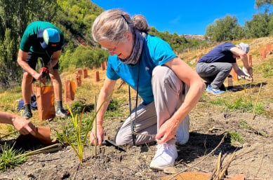 Arrowtown Native Tree Planting