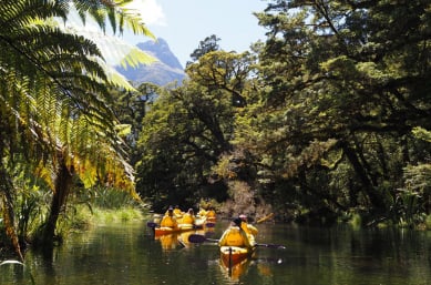 Kayaking Milford Sound Roscos