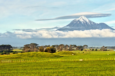 Mt Taranaki View