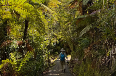 happy guests hiking in Paparoa National Park