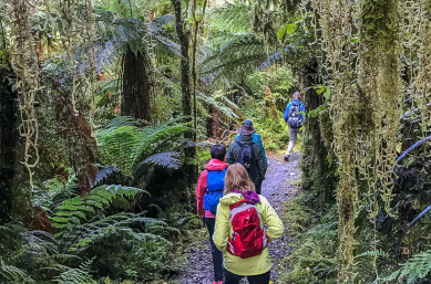 Kepler Track, New Zealand South Island guided tour