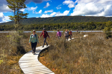 kepler track wetland group hike