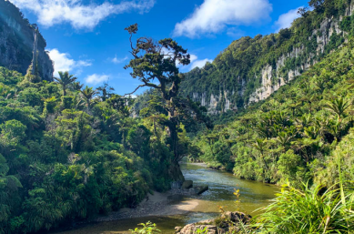 paparoa track2