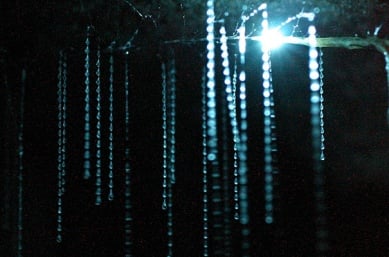 New Zealand North Island at Spellbound Cave