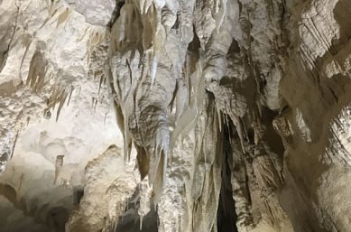 Hiking New Zealand North Island to see glow worms in Spellbound Cave