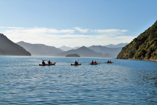 Kayakers on Queen Charlotte Sound