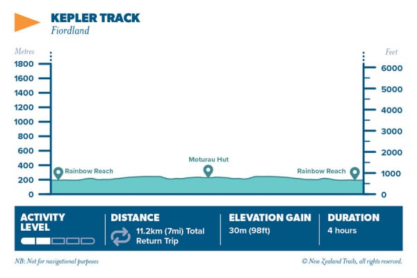 Kepler Track to Motarau Hut6