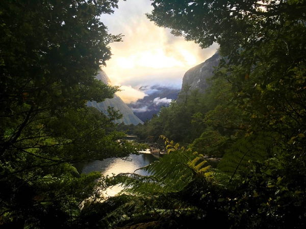 Fiordland National Park