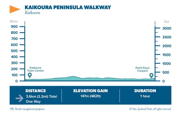 Kaikoura Peninsula Walkway3