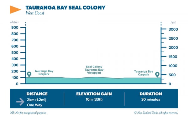 TAURANGA BAY SEAL COLONY
