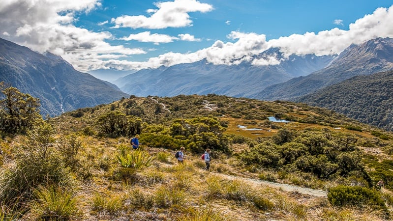 12 Best New Zealand Day Hikes New Zealand Trails