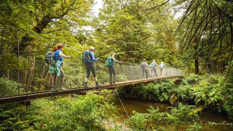 Our guests crossing on of the many beautiful swing bridges on the Kepler Track.