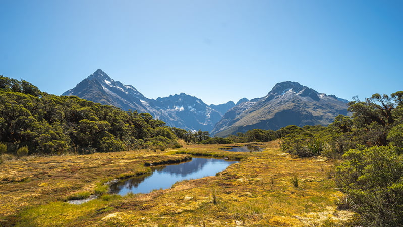 Routeburn Track Key Summit reflections