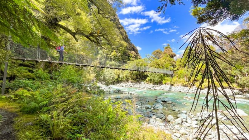Explore the Hollyford Valley on foot. 
