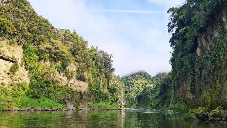 Whanganui River Journey2