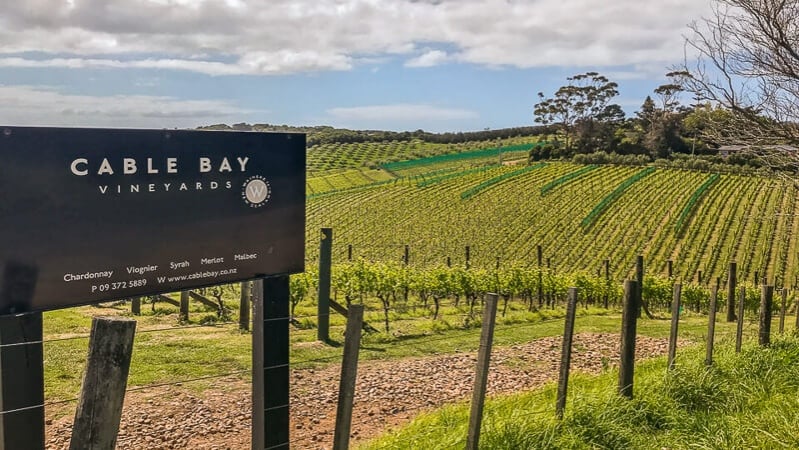 New Zealand wines at Cable Bay vineyards, Waiheke Island