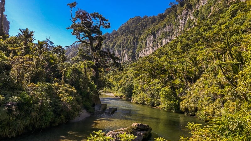 New Zealand day hike - Pororari River Paparoa, West Coast