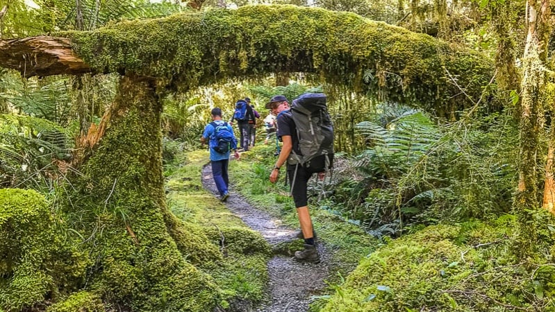 Solo hiking in New Zealand