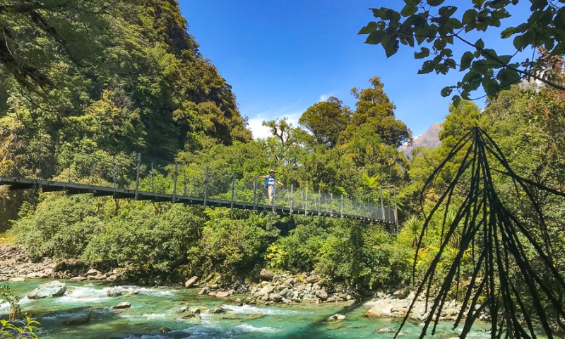 Hollyford Track - Fiordland Backcountry