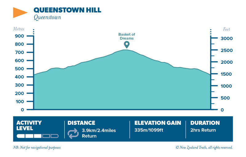 Queenstown Hill