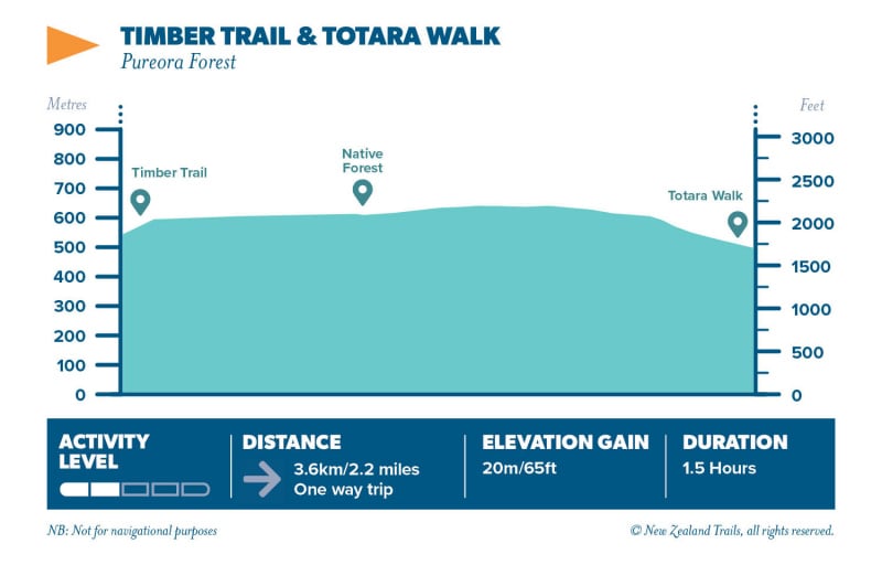 Timber Trail Totara Walk
