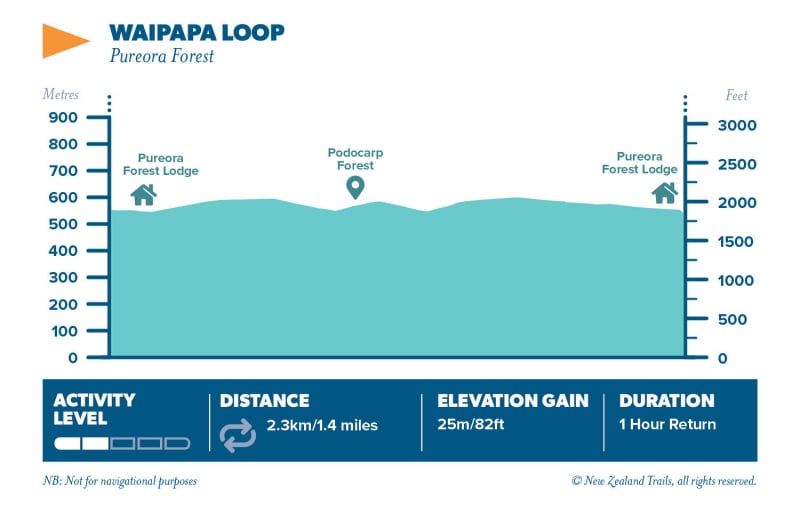 Waipapa Loop2