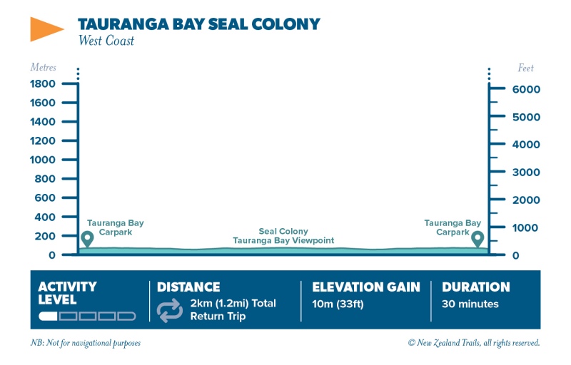 Tauranga Bay Seal Colony walk