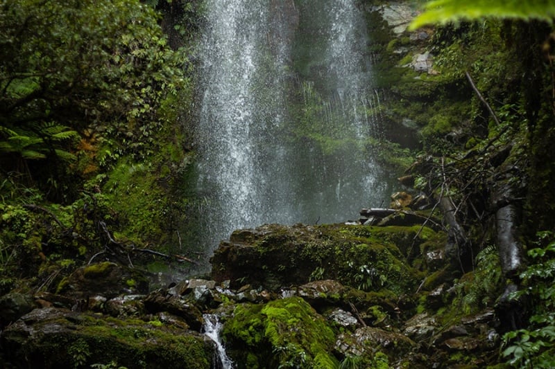 Waterfall along Hollyford Track