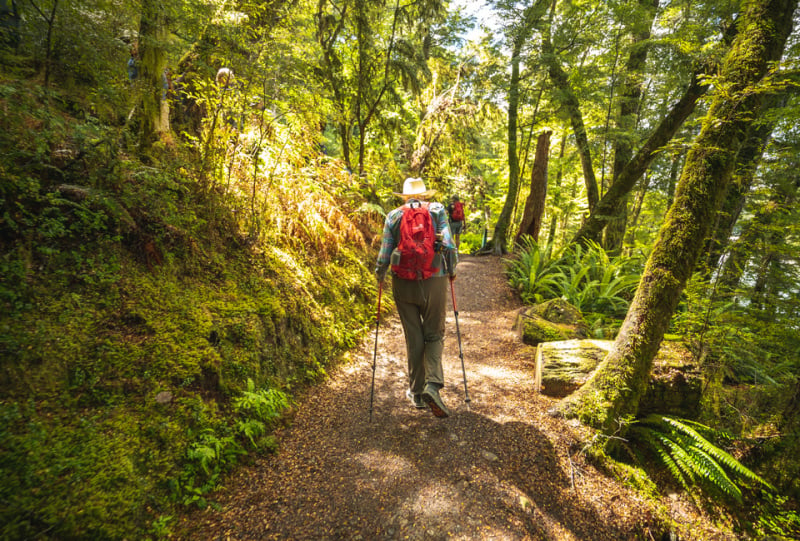 Enjoy quieter trails during October on the Routeburn Track. 