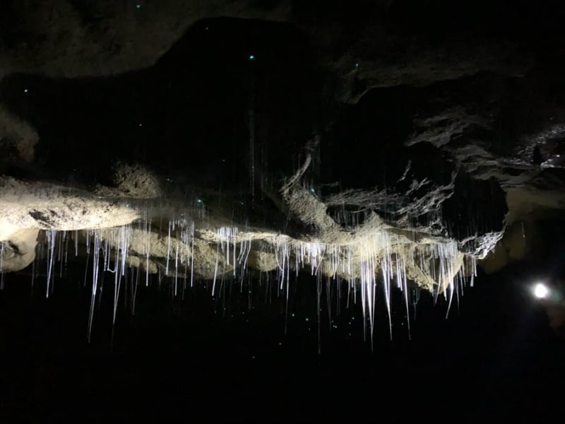 Come and see New Zealand North Island glow worm caves