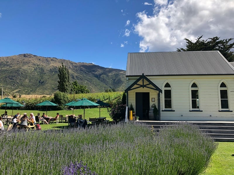 Gibbston Valley winery lunch