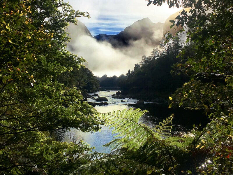 Amazing Milford Track view