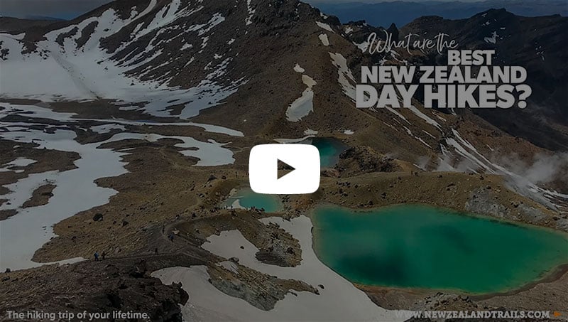 Best New Zealand day hikes