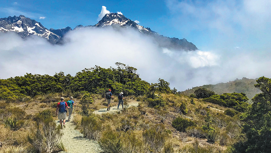 Guided hiking tours to Key Summit, Fiordland