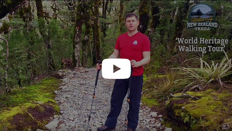 How to use hiking poles video
