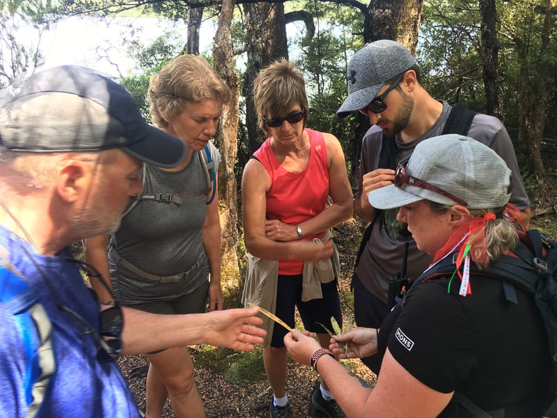 New Zealand Trails guides