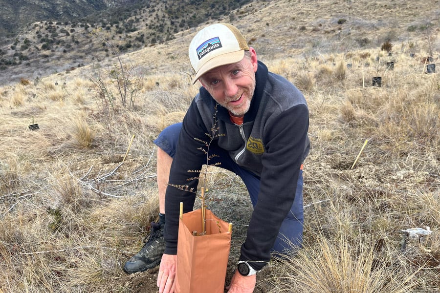 nigel-tree-planting-conservation