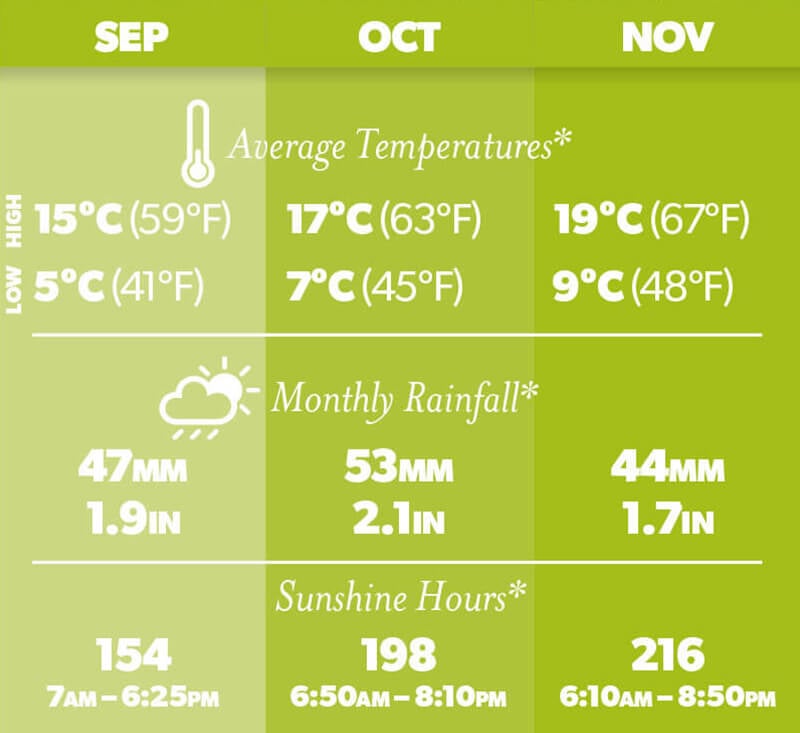 New Zealand spring weather infographic