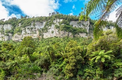 Paparoa National Park on the best adventure tour New Zealand