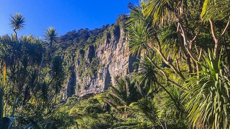 Great Walks New Zealand, Paparoa National Park, West Coast