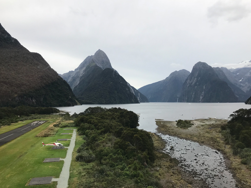 Milford Sound rain forest