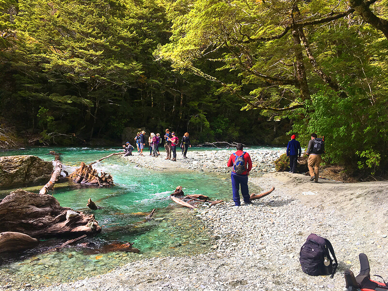 New Zealand solo travel tours, Routeburn Track River, Fiordland
